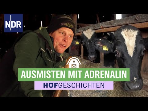 Harter Job im Bullenstall | Hofgeschichten (359) | NDR