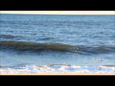 Reading the Beach - Understanding Waves & Wave Action