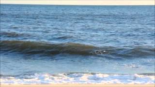 Reading the Beach - Understanding Waves & Wave Action