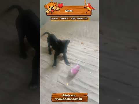 Vídeo de Mona 