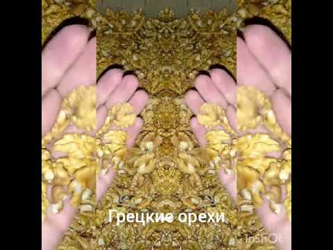 Грецкий орех оптом