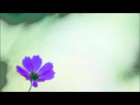 Facebookの怪しいコンテストが夢の休暇をプレゼントしようとしている