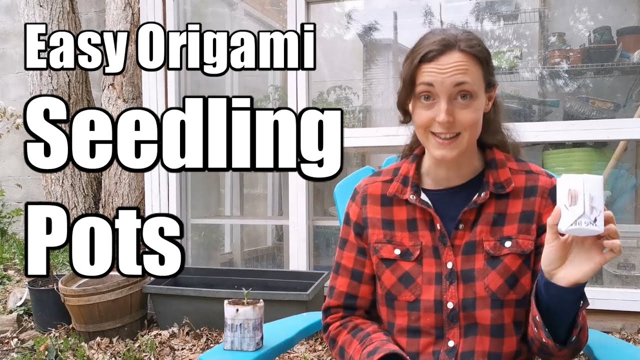 Easy Origami Seedling Pots, How to