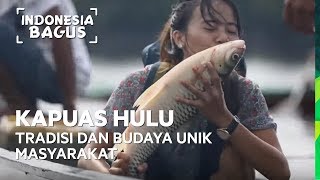Download lagu Tradisi dan Budaya Unik Masyarakat Kapuas Hulu - Indonesia Bagus mp3 Download lagu Tradisi dan Budaya Unik Masyarakat Kapuas Hulu - Indonesia Bagus mp3