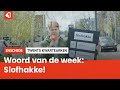 Het Twentse woord van de week: Slofhakke!