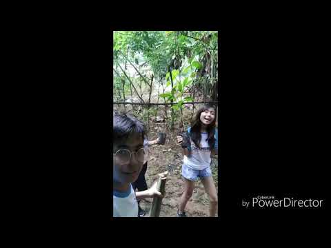 Juan to Tree Project