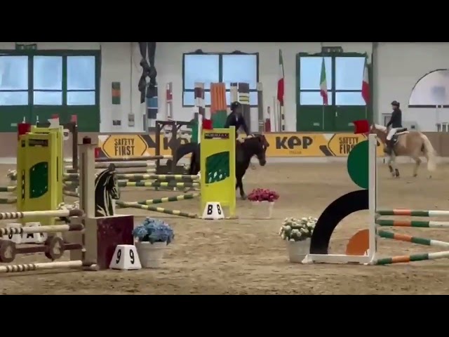 Pony dolce e docile del 2009