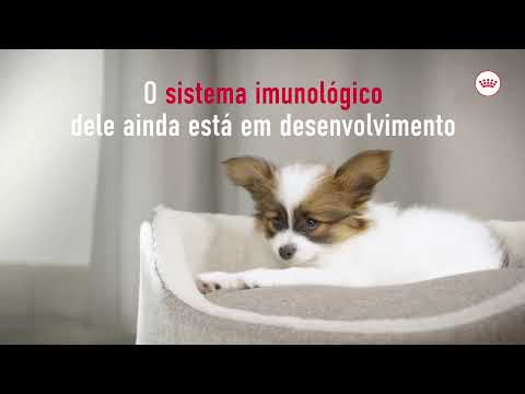 Vídeo do produto