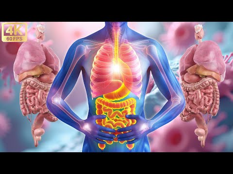 INTESTINAL HEALING! Alpha Wave Heal the Whole Internal Organ💫The Body Is Repair After 8 Min #2