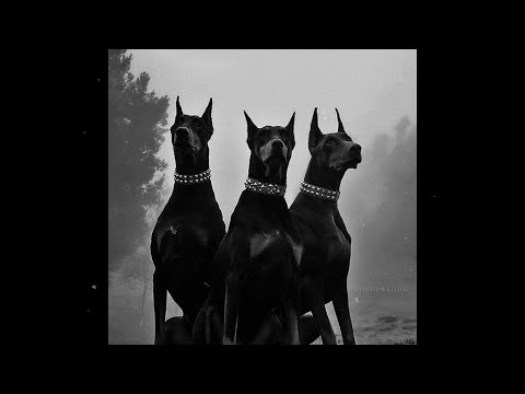 (FREE) JOSMAN X SDM  Type Beat | Charisme