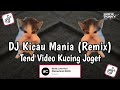DJ KICAU MANIA REMIX X VIDEO KUCING JOGET KICAU MANIA GASPOL NDANGAK VIRAL TIKTOK AKBAR CHALAY