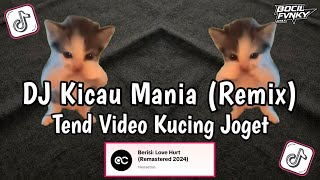 Download lagu DJ KICAU MANIA REMIX X VIDEO KUCING JOGET KICAU MANIA || GASPOL NDANGAK VIRAL TIKTOK | AKBAR CHALAY mp3