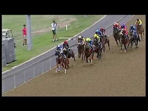 20190929 Hollywood Bets Greyville express clip Race 2 won by PERFECTLY PUTT