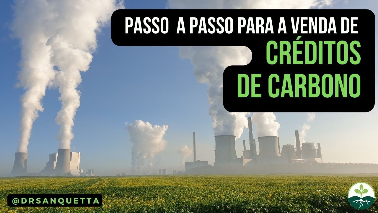 Passo a passo para a venda de Créditos de Carbono