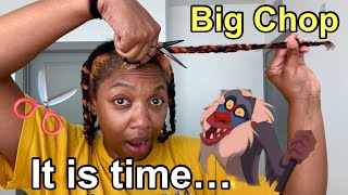 "Relaunching My Hair Journey - The Big Chop of 2023!"