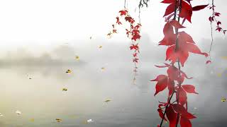 صورة سلسلة مع زكريا