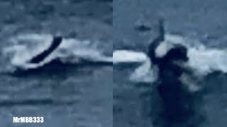 Man spots 'strange sea creature' near Huntington Beach - "Unrecognizable"