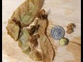 Peel Kiwi In Less Than 15 Seconds OK 9 Seconds And Wasting Nothing