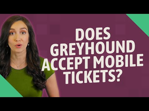 Greyhound Qr Code