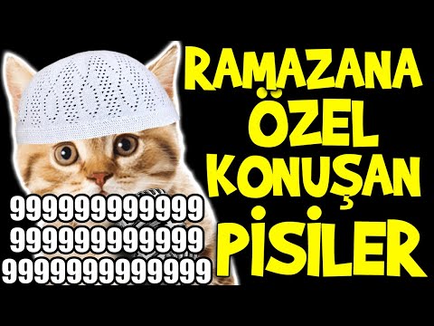 Konuşan Pisiler 9999999999999999999999999999999999999 - Ramazana Özel 1 Saat En Komik Kedi Videoları