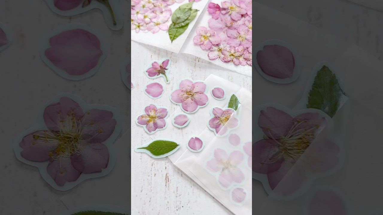 【本物の桜】でフレークシール作ってみた🌸 #flowers #ハンドメイド #diy #桜#押し花#pressedflowers #CHERRYBLOSSOM#shorts #シール#押し花シール
