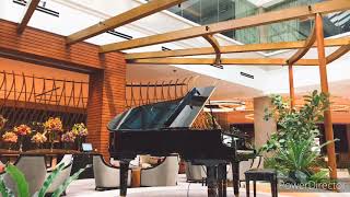 Msica para relaxar e descansar - som de Piano