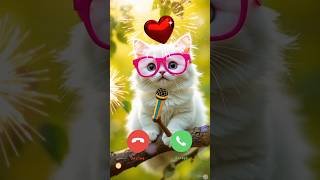 Download lagu Cute Cat Ringtone 🤔 Cute Cat Calling 🤔#short #ringtone #cat mp3 Download lagu Cute Cat Ringtone 🤔 Cute Cat Calling 🤔#short #ringtone #cat mp3