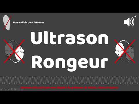 Puissant ultrason contre pour rongeur, rats, souris 1 HEURE