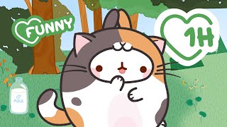 Download lagu MOLANG is a real Cat Lover 😻💖 mp3