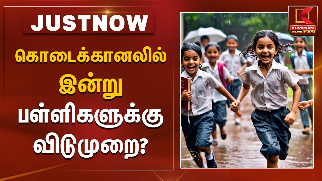 கொடைக்கானலில் இன்று பள்ளிகளுக்கு விடுமுறை? - மாவட்ட ஆட்சியர் விளக்கம் | Rain Alert | Kumudam News