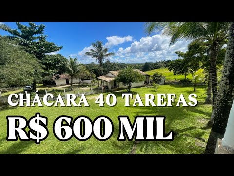 R$ 600 MIL CHÁCARA COMPLETA 40 TAREFAS ESCRITURADA SALGADO SERGIPE 