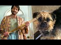 Dog S Tasty Revenge On His Owner Strays Final Scene