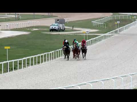 2019.04.28. 06. futam - ZÍRCI DÍJ (II.kat.) (szintetikus pálya)