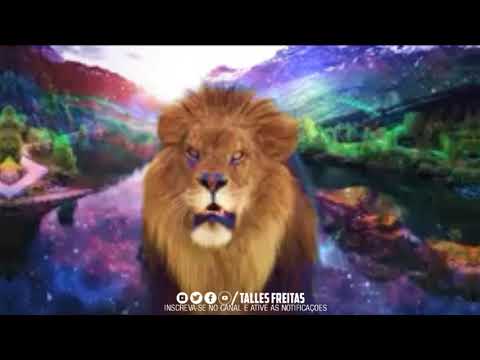 RAVE RJ - LOSE NO CONTROL (BR DA TIJUCA) LANÇAMENTO 2020