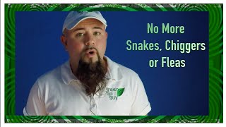 Rid Your Yard of Snakes, Chiggers & Fleas