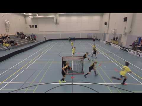 2017-01 Sonkajärvi Piirisarjaa Welhot-007 Pallosalamat - FBI/Sininen, voitto 8-6