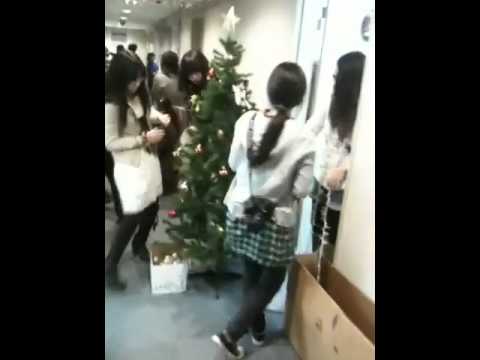 政治経済学科 聖学院大学 欧米文化学科AH クリスマスデコレーションvol.1