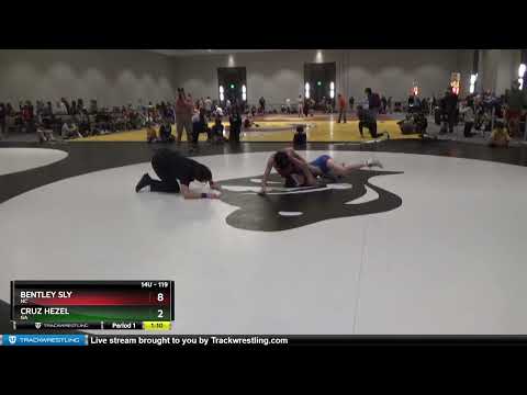 119 Lbs Quarterfinal - Bentley Sly, NC Vs Cruz Hezel, GA 962c