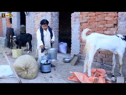 MITHU KHAN DOOD WALA - مٹھو خان دودھ والا - Pakistani chotu Shahzada Ghaffar Latest Comedy Drama