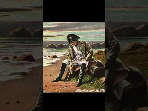 There is nothing we can do… #viral #stephanbern #napoleon #secretdhistoire