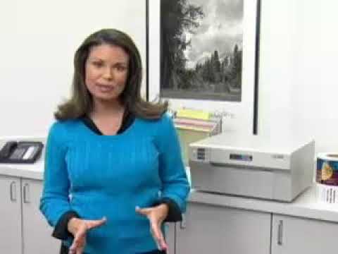 8.24 primera lx 810 color label