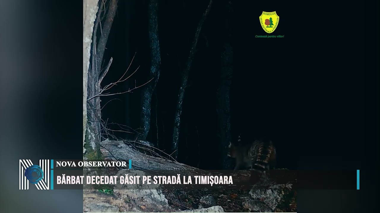 Apariție care nu a trecut neobservată