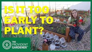 When Should You Really Plant Your Summer Garden? | Zone 6B Planting Tips
