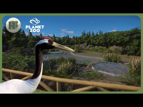 Building a RED-CROWNED CRANE habitat! | Bell Valley Zoo | Planet Zoo