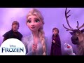 Exploring The Enchanted Forest Frozen