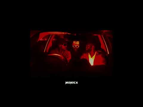 @BEARDEDWOLFVEVO & RVLPH KOTTO ft PANDU DA PRiNCE - ALiCiA DEM (Visualizer)