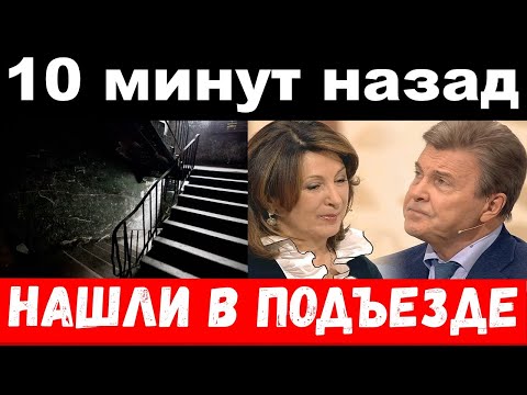 10 минут назад / нашли в подъезде / трагедия Лещенко / новости комитета Михалкова