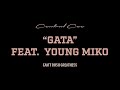 CENTRAL CEE GATA FEAT YOUNG MIKO LYRICS