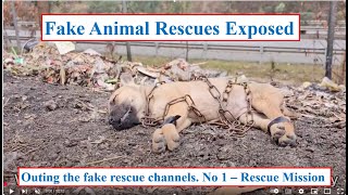 Outing Fake Rescue Channels. 1.   'Rescue Mission'