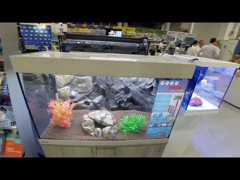 Watch Video on YouTube